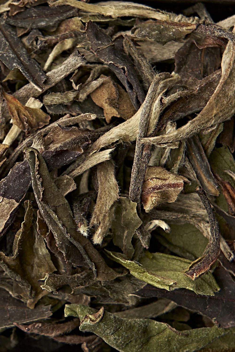 Pai Mu Tan