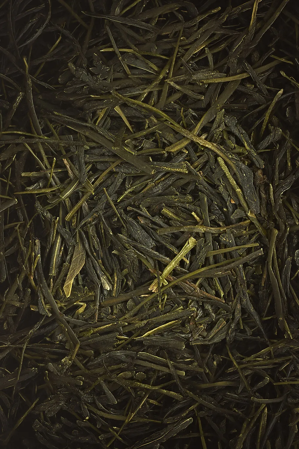 Sencha Asagiri Bio