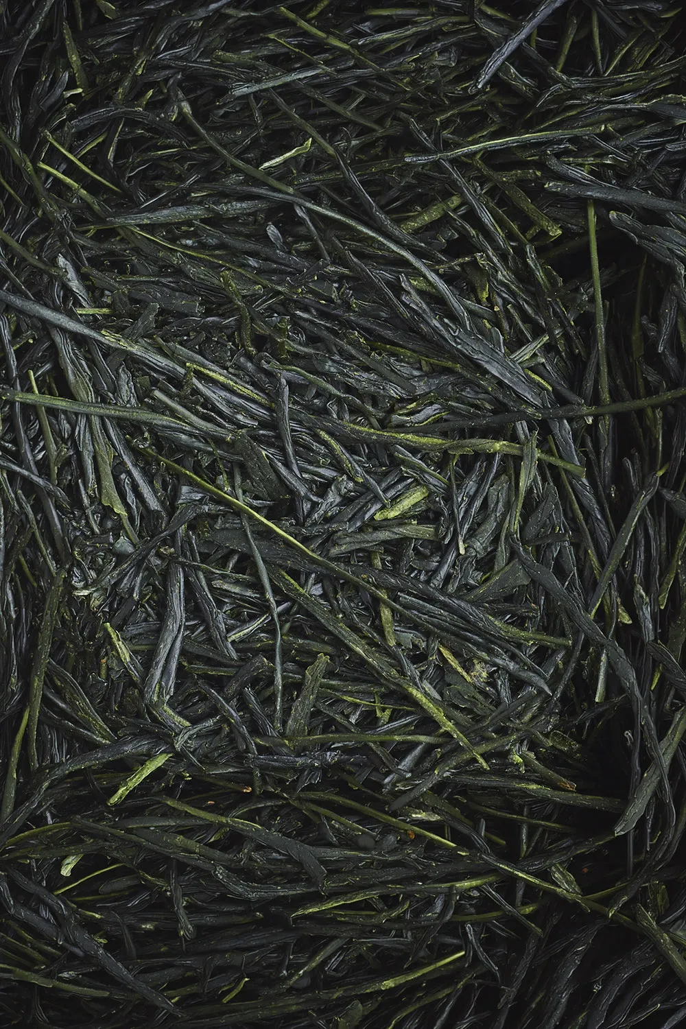 Shincha Homare Bio