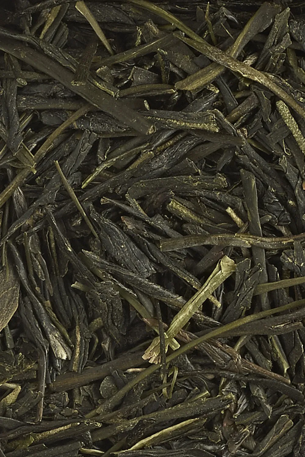 Sencha