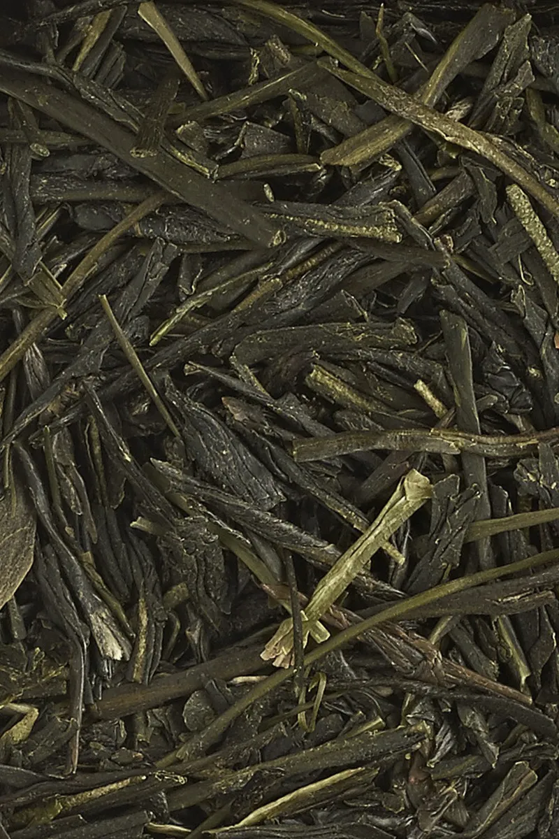 Sencha