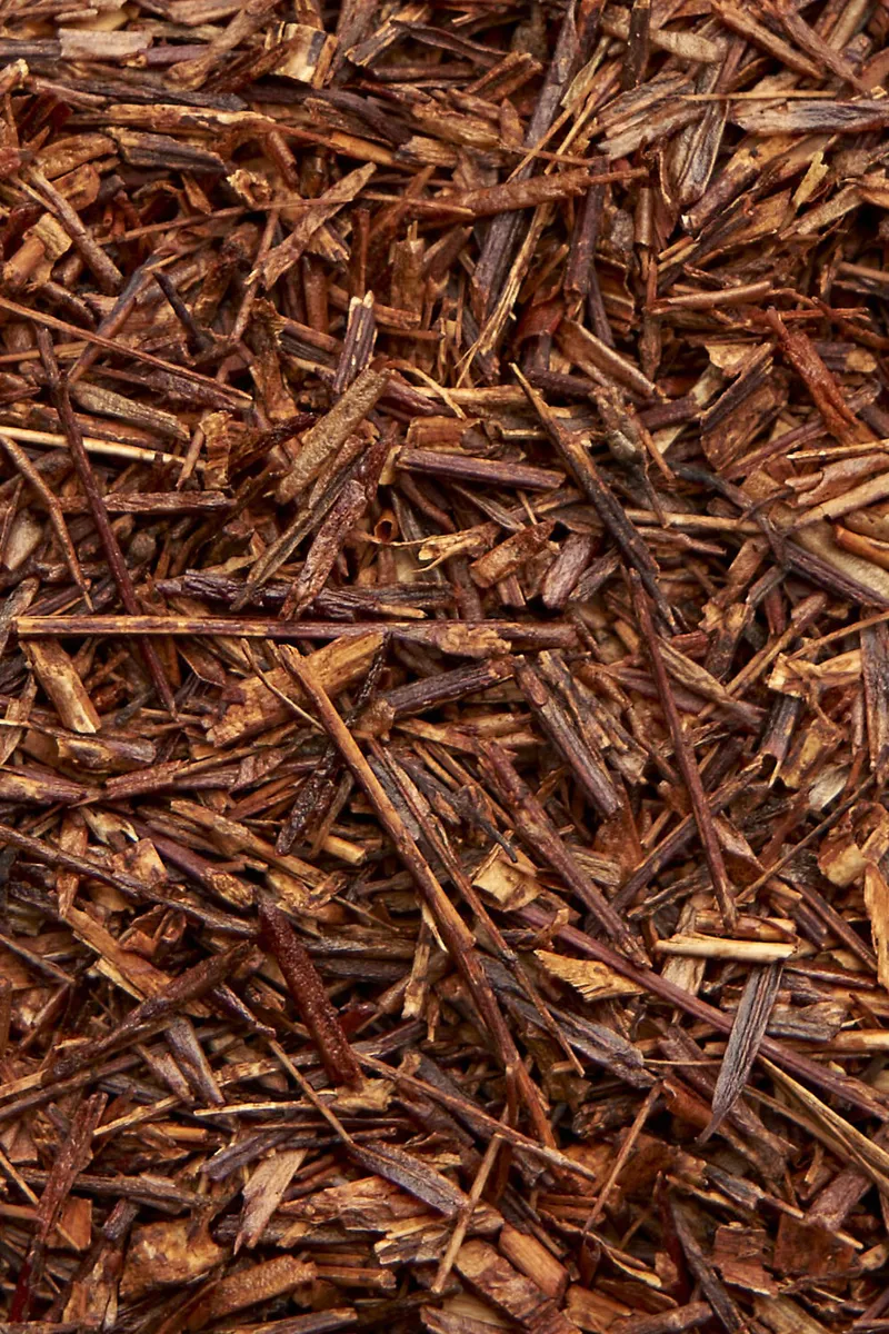 Rooibos