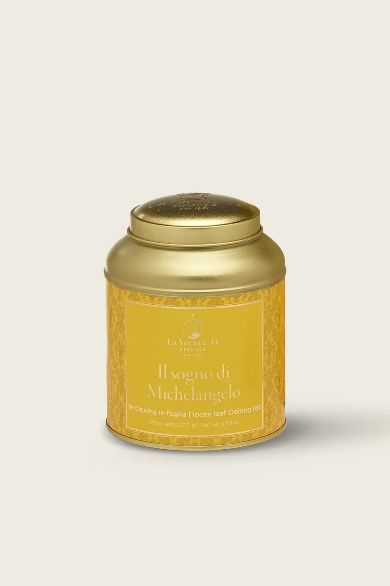 Il Sogno Di Michelangelo