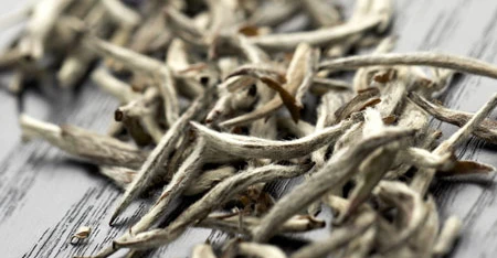 Primo piano di tè bianco silver needle in primo piano, ripreso da vicino per mostrarne consistenza, colore e forma su fondo chiaro o naturale.