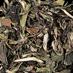 Tè bianco Pai Mu Tan Sfuso