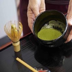 Matcha Izumi BIO Tè in polvere Tè verde Giapponese in Lattina da 30 grammi Sfuso