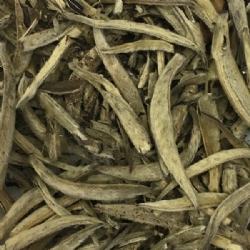 Tè bianco cinese foglia intera Yin Zhen Le Grandi Origini sacchetto da 20 grammi